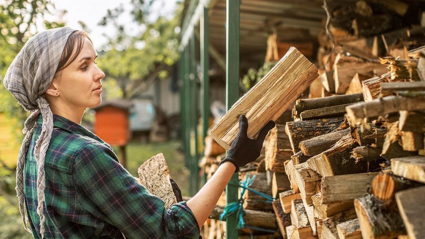 Як економити на опаленні — скільки коштують дрова в Україні у лютому - 250x140