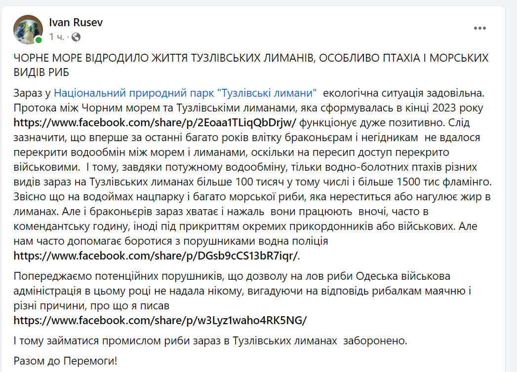 Черное море возрождает жизнь Тузловских лиманов - количество птиц и морской рыбы растет - фото 1