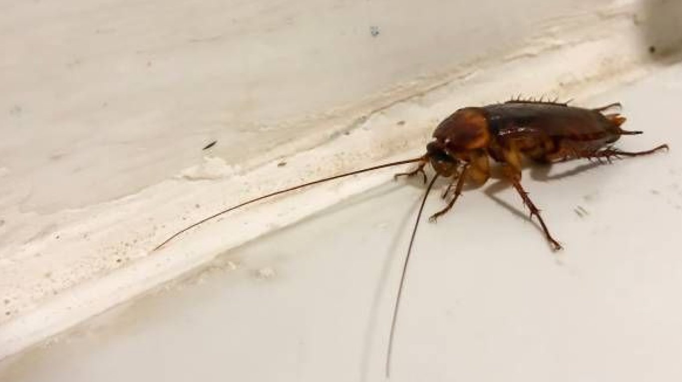 Зняття першої квартири в Одесі