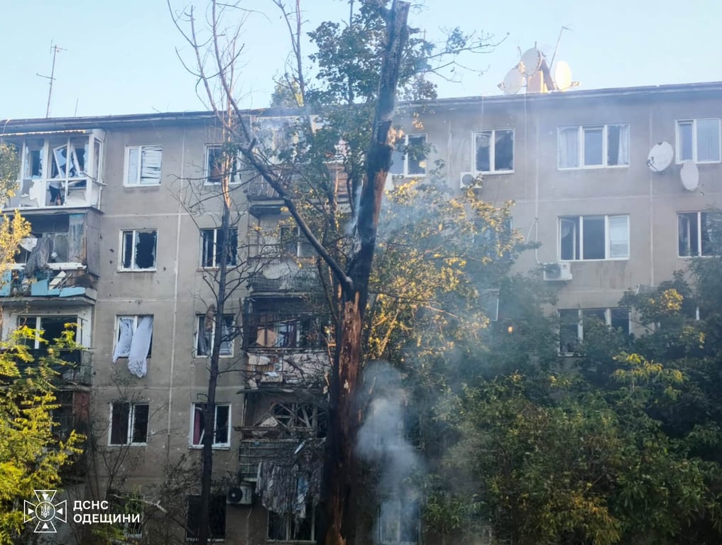 Згоріле дерево перед будинком