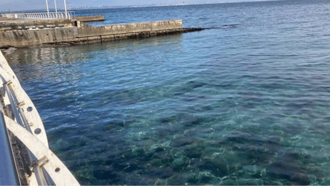 Забруднення моря в Одесі