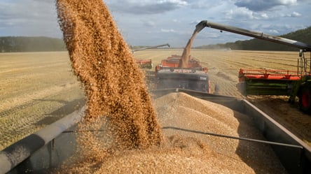 В Евросоюзе будут бороться с российским и белорусским зерном — как именно - 290x166