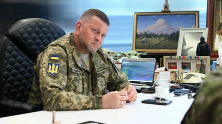Помощница Залужного рассказала, скрывал ли он планы касательно обороны Украины - 285x160