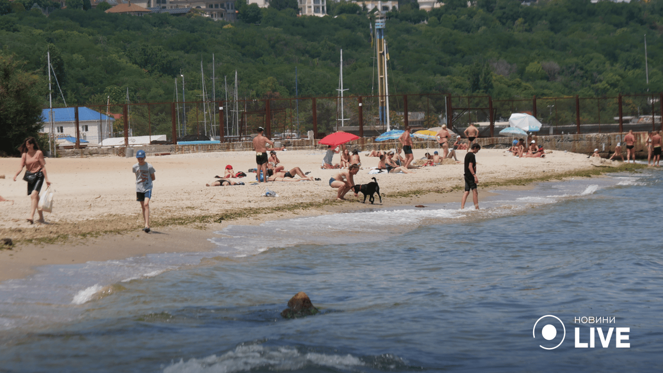 Стан Чорного моря сьогодні – еколог