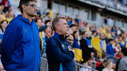 Маркевич обратился к Реброву перед матчем Украины со Швецией - 285x160