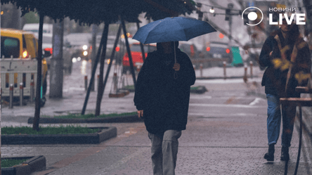 Ожидаются дожди с грозами — народный синоптик Наталья Диденко рассказала, где будет бурлить непогода - 290x166