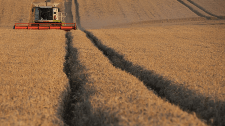 Цены на зерно в Украине — сколько стоит ячмень в начале июня - 285x160