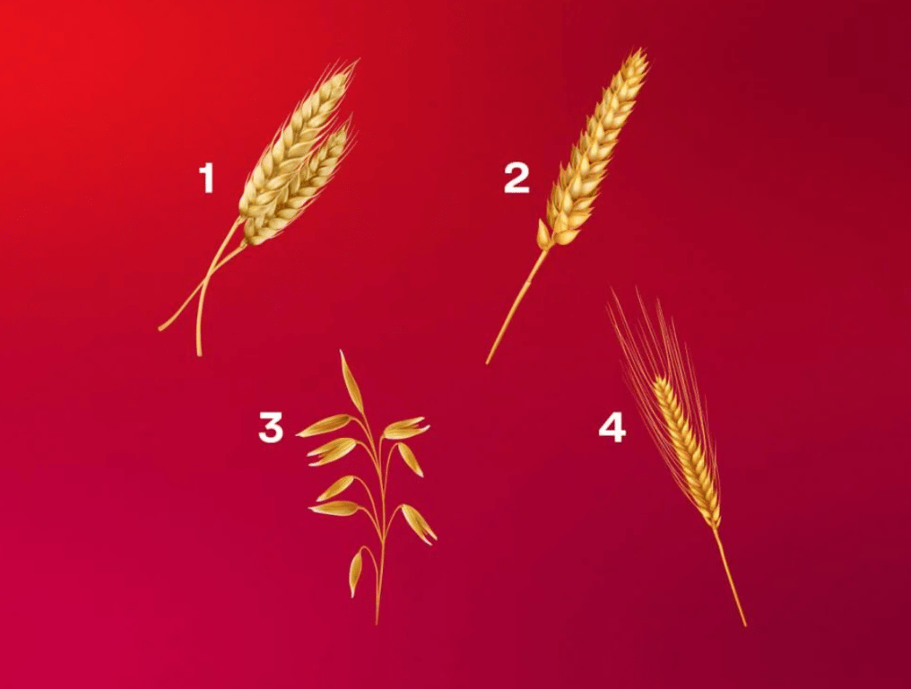 Тест, який покаже головну рису характеру