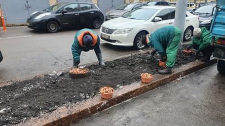 В Киеве транспортный коллапс, а под КГГА высаживают тюльпаны - 285x160