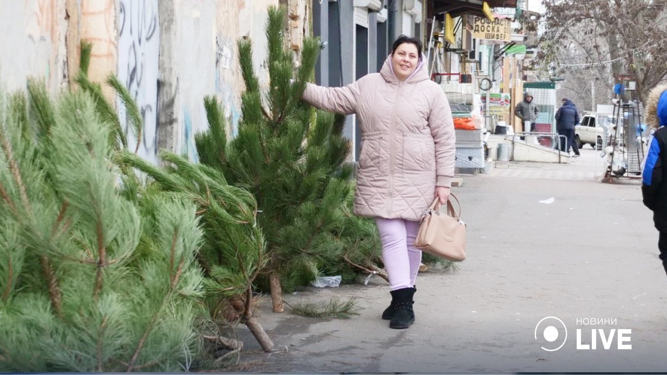 В Одесі почали приймати новорічні дерева: як отримати цукерки