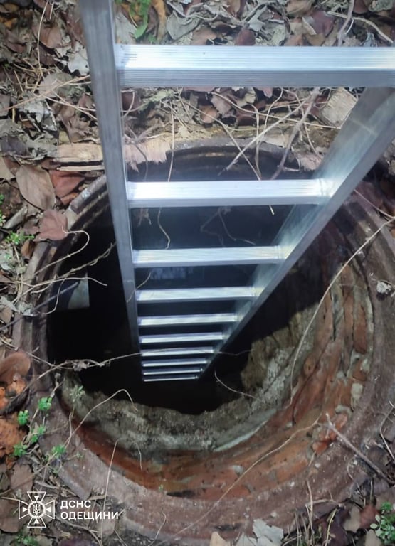 Впав у глибоку яму — на Одещині врятували собаку - фото 1