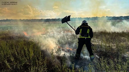 За добу на Одещині було знищено 6 гектарів землі - 285x160