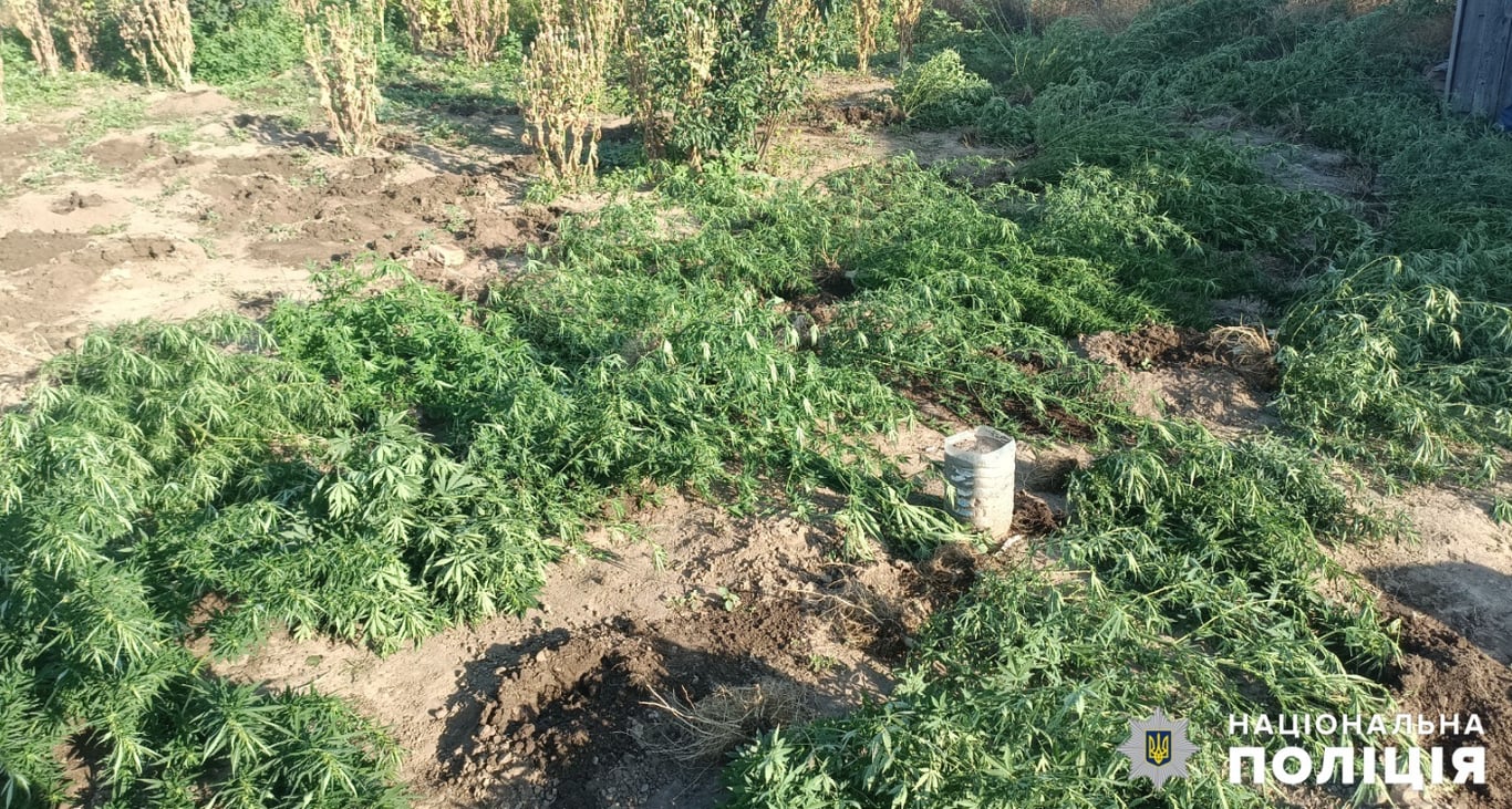 Вирощував наркотики