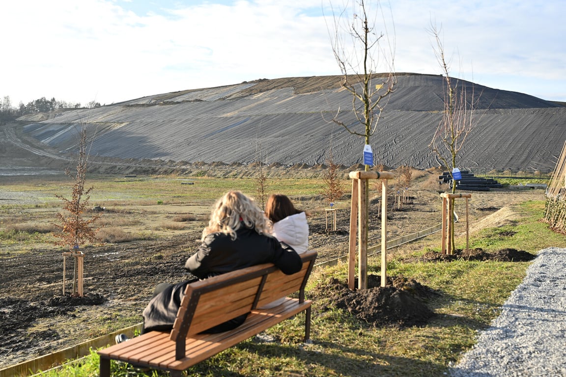 Грибовицький полігон відновлення