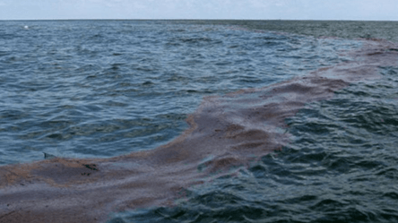 Экологическая катастрофа — в Крыму зафиксировали опасные вещества - 290x166