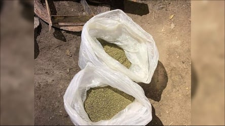 Власник СТО перетворив її на наркобазу — який вирок суду отримав - 285x160