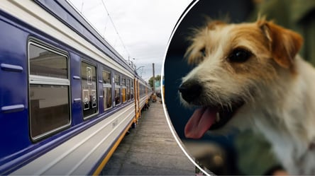 Пасажирка УЗ стикнулася з проблемою на касі — що відповів перевізник - 285x160