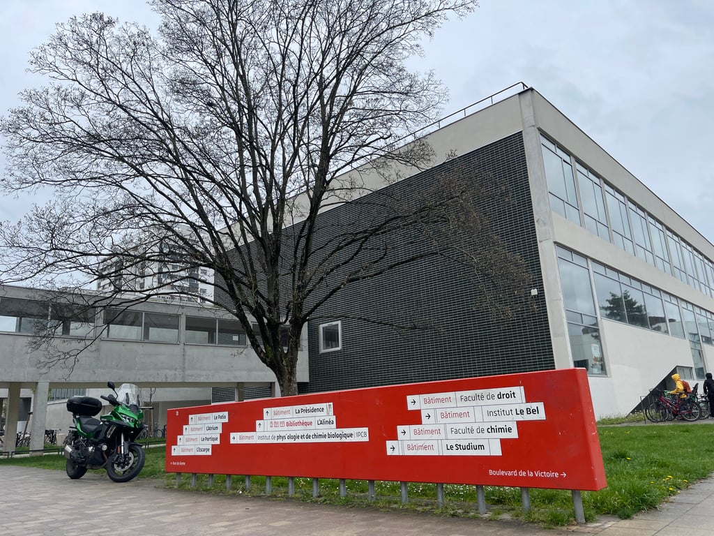 Образование во Франции — специфика системы и возможности для украинцев - фото 4