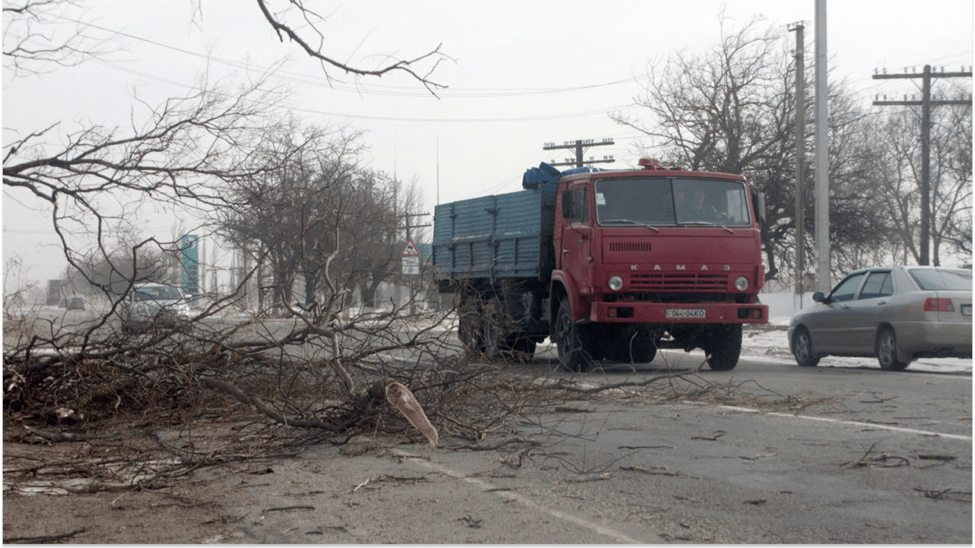 Дрова для опалення — чи можна збирати гілля біля дороги у 2025