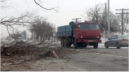 Дрова для отопления — можно ли собирать ветки возле дороги в 2025 - 285x160