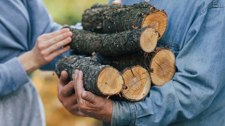 Комунальники залишили гілля — чи дозволено забирати на дрова - 285x160