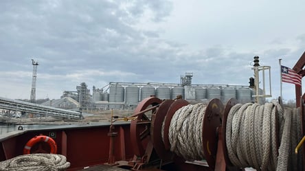 В рамках "зерновой инициативы" из Украины удалось отправить 110 тысяч тонн зерна в Эфиопию и Сомали - 285x160
