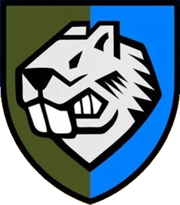 Нарукавный знак воинской части А3955