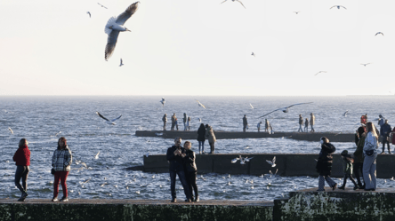 Зимние отпуска 2026 — как будут отдыхать одесситы - 304x171