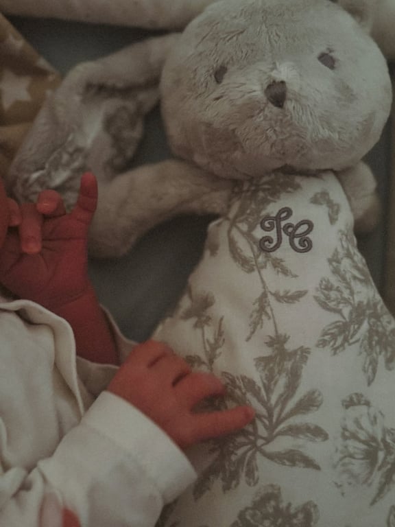 У Реброва родился сын