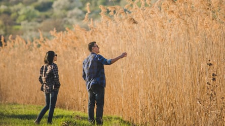 Расторжение договора аренды земли — что делать совладельцам пая - 285x160