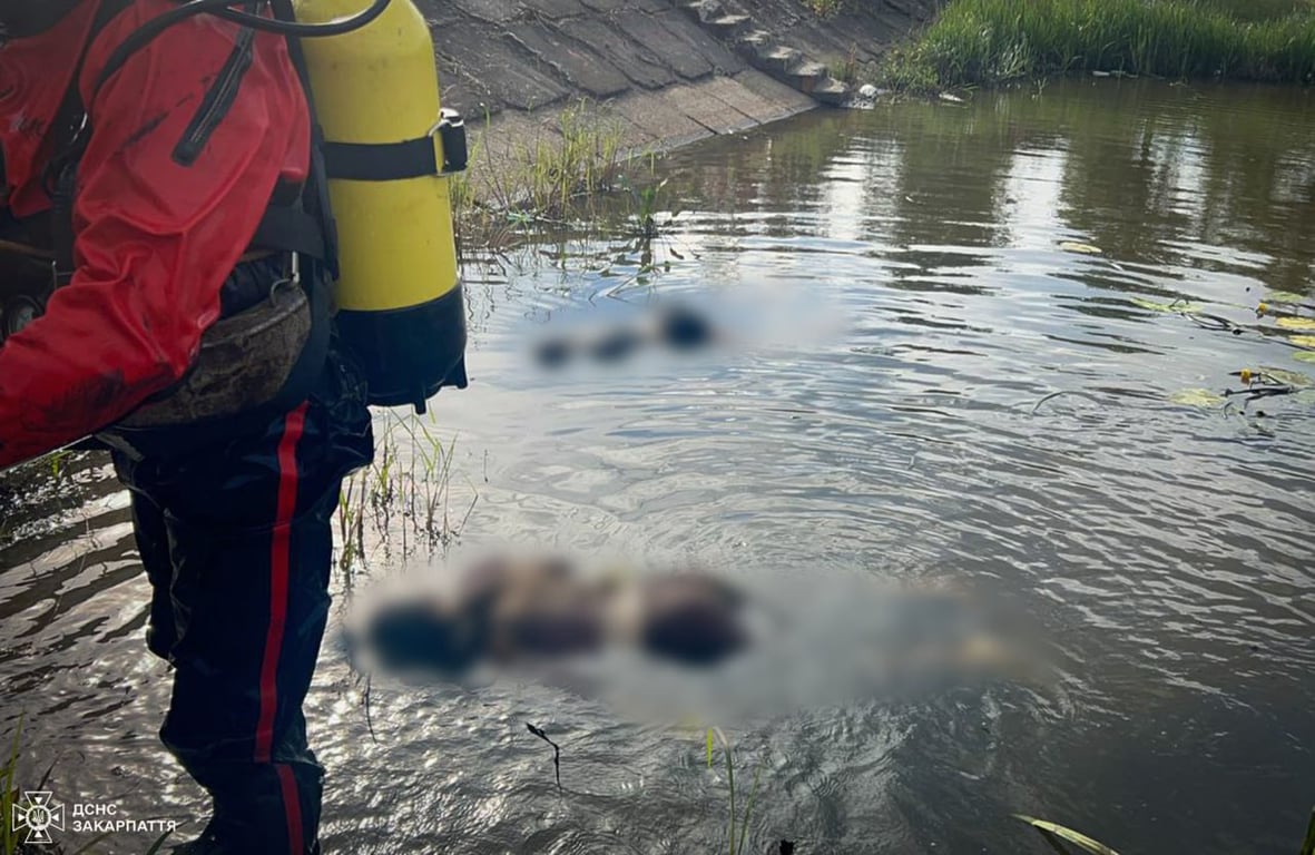 дівчата втонули