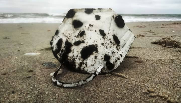 Пляжний сезон в Одесі під загрозою — екологи - фото 2