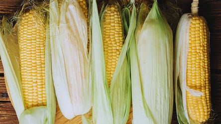 Кукурудзу можна швидко приготувати в мікрохвильовій печі — кілька важливих порад - 290x166