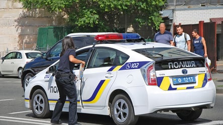 Женщина хотела "порешать" с полицией, но получила приговор суда - 285x160