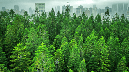 На Земле заканчивается кислород — когда он исчезнет - 285x160