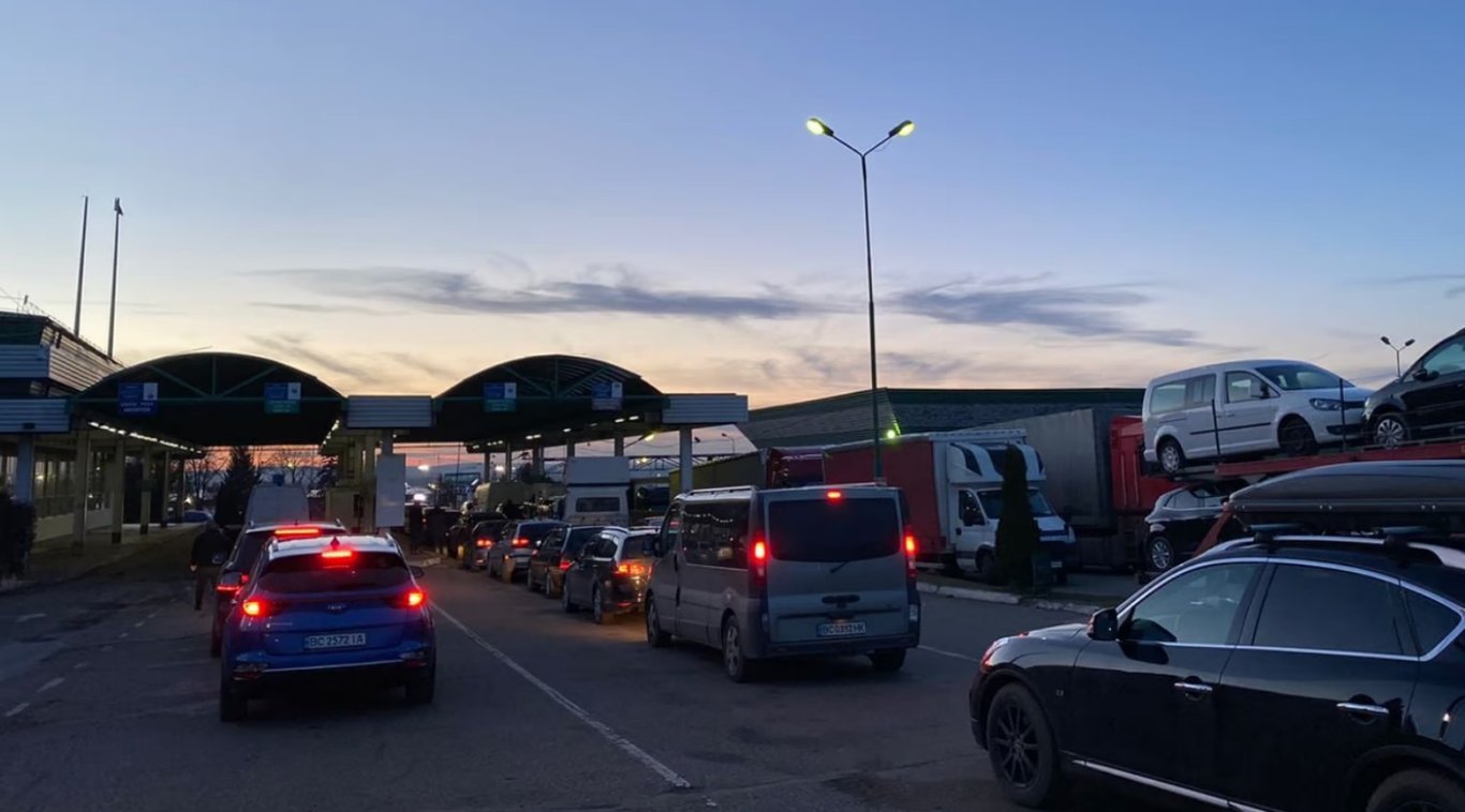 Сушені гриби у валізі — чи можуть конфіскувати на кордоні - фото 1