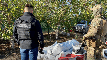 В Одесской области обнаружили "наркотический сад": что выращивал "бизнесмен" - 285x160