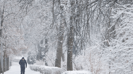 Середина зимы — синоптик Диденко дала неутешительный прогноз - 285x160