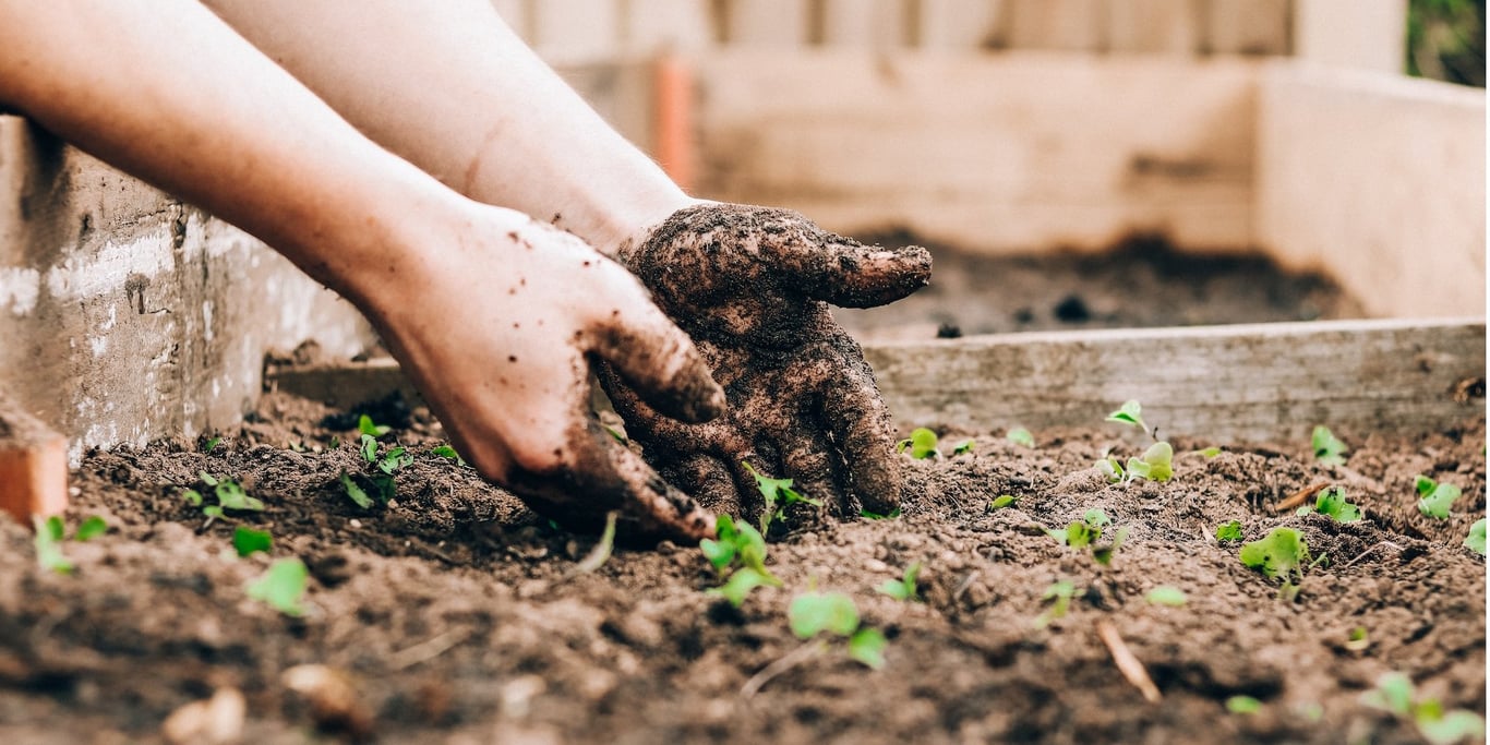 Місячний календар на квітень 2024 року — сприятливі дні для робіт в саду та на городі