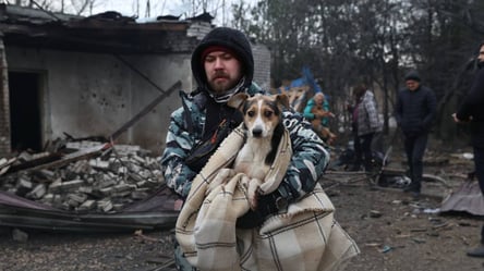 Россия атаковала приют для животных в Запорожье — фото - 304x171