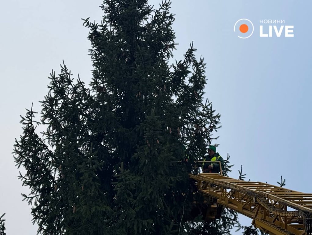 Новогодняя елка во Львове