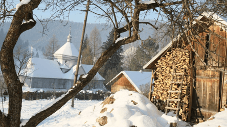 Дрова дорожают из-за морозов — что будет с ценами на топливо - 285x160