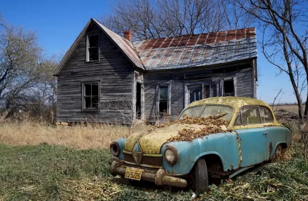 Хитра лисиця навіть не ховається — 98% не змогли знайти тваринку на фото - фото 1