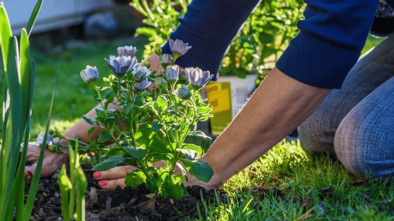 Женщина на огороде