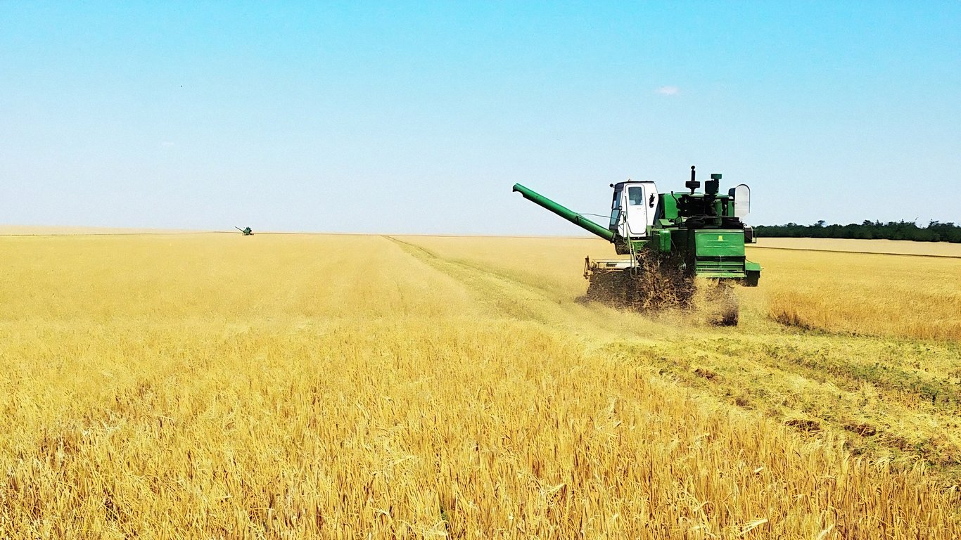 Цены на зерновые в Украине по состоянию на 16 декабря 2023 года
