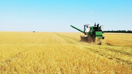 Ціни на зерно в Україні — скільки коштує ячмінь у грудні - 285x160