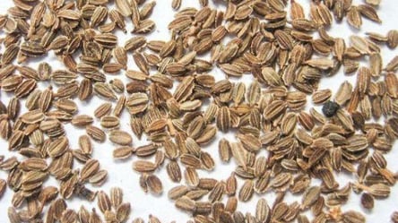 Швидкі сходи моркви — допомагають три прості прийоми - 285x160