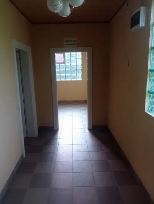 Как выглядит дом в Карпатах, который продают за 15 000 долларов (фото) - фото 6