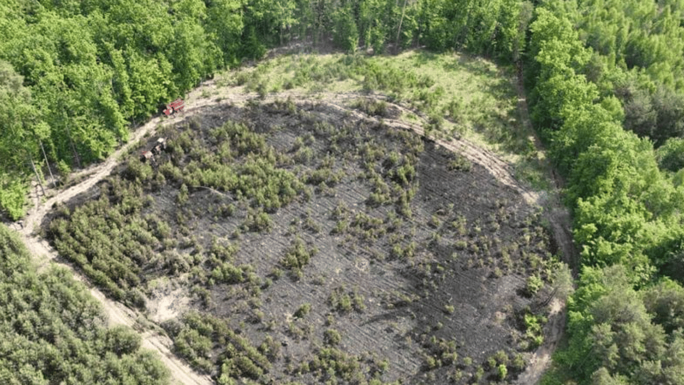 Во Львовской области возобновят лес после удара шахедом