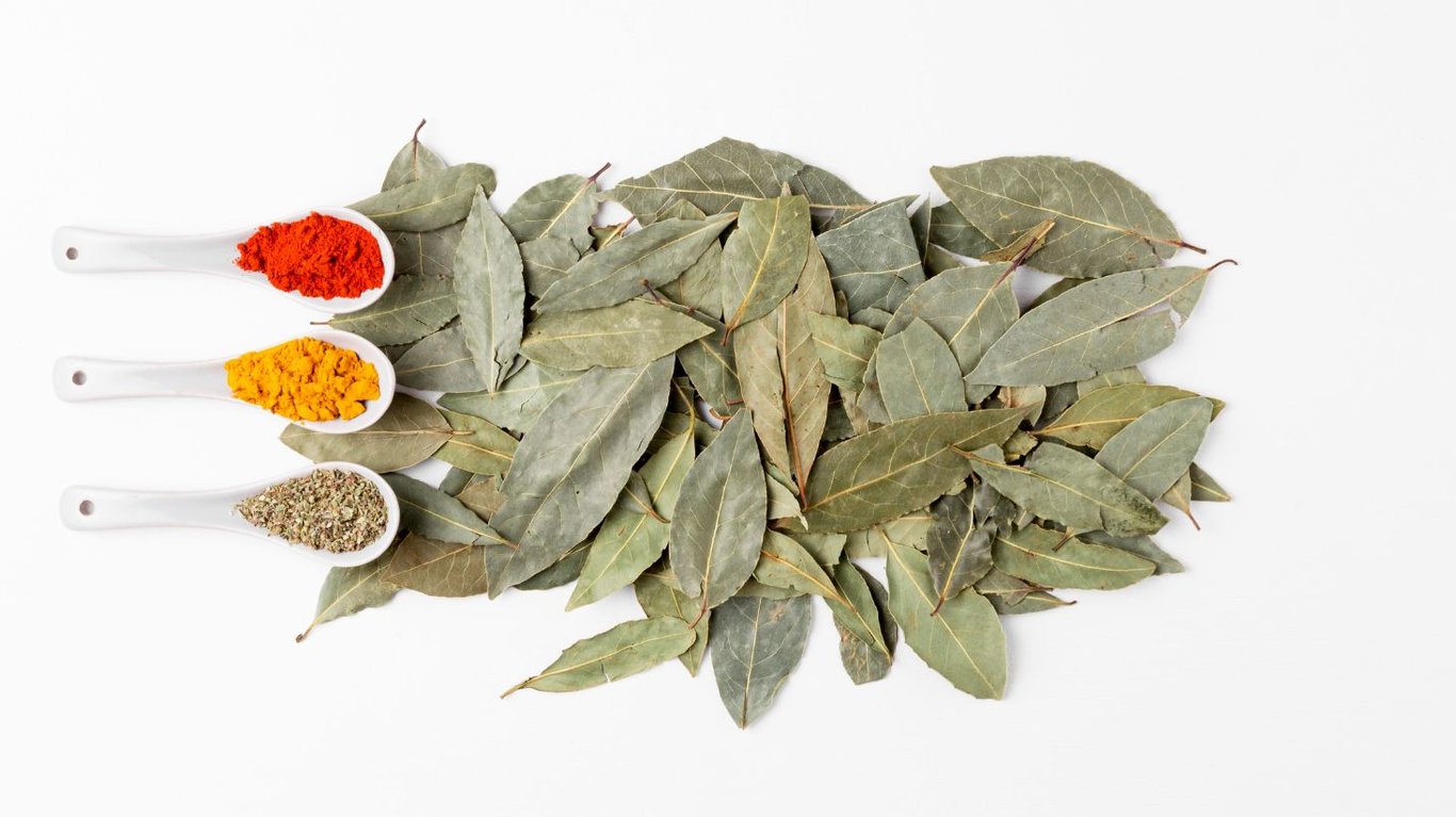 як зберегти свіжість лаврового листа